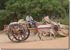 Typical Bullock Cart