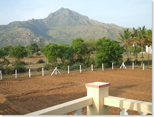 Arunachala from Brindavanam, Tiruvannamalai