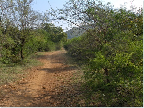 Trail to Pradakshina Path