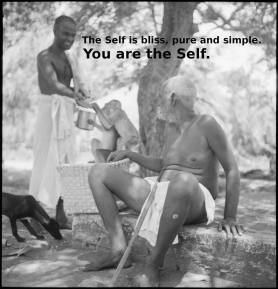 You are the Self